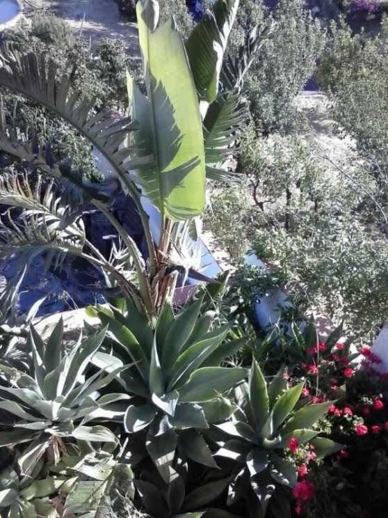 Casa Rural Las Cascaras تيخيدا المظهر الخارجي الصورة